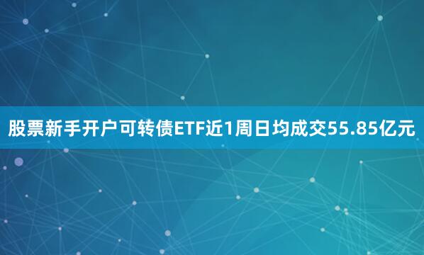 股票新手开户可转债ETF近1周日均成交55.85亿元