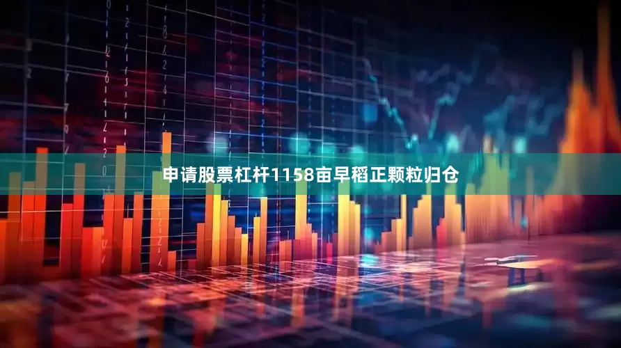 申请股票杠杆1158亩早稻正颗粒归仓