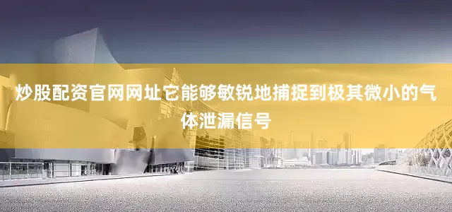 炒股配资官网网址它能够敏锐地捕捉到极其微小的气体泄漏信号