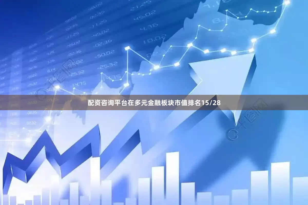 配资咨询平台在多元金融板块市值排名15/28