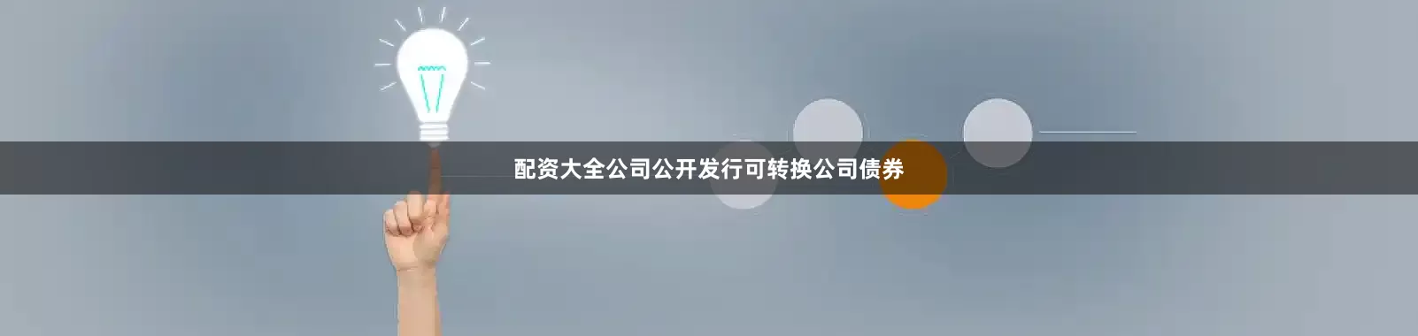 配资大全公司公开发行可转换公司债券
