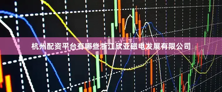 杭州配资平台有哪些浙江欣亚磁电发展有限公司